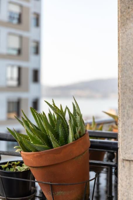 Bonito Piso Con Vistas, Centrico, Acogedor Lägenhet Vigo Exteriör bild